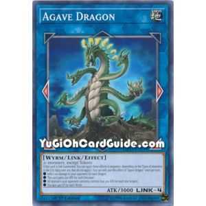 Agave Dragon (Common)