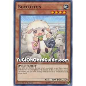 Boycotton (Common)