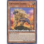 Crusadia Leonis (Common)