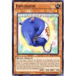 Explossum