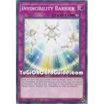 Invincibility Barrier (Common)