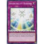 Invincibility Barrier (Common)