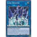 Link Devotee (Common)