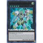 Number S39: Utopia the...