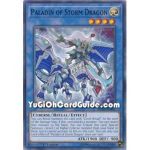 Paladin of Storm Dragon...