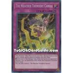 The Weather Thundery Canvas...