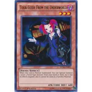 Tour Guide from the...