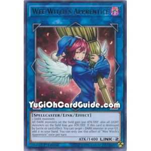 Wee Witchs Apprentice (Rare)